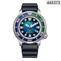 BN0166-01L.